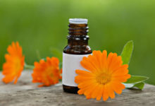 Düfte für Tiere 30 Aromaöl aus der Calendula Blüte