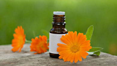 Düfte für Tiere 29 Aromaöl aus der Calendula Blüte
