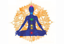 Die Entwicklung der Chakren 33 Die Chakren des Menschen