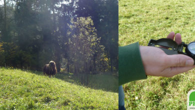 Leitfaden / Anleitung für die Suche nach Wasseradern 8 Kompass, eines der Werkzeuge eines Rutengängers zum Finden von natürlichen Störzonen