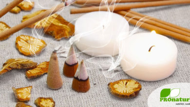 Leitfaden: Anleitung zum Räuchern. So räucherst du richtig! 29 Leitfaden: Anleitung zum Räuchern. So räuchern Sie richtig!