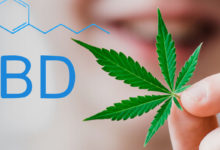 HANF & CBD. Wenn eine der ältesten Nutzpflanzen die Wissenschaft und Medizin vor Rätsel stellt. 12 HANF. Wenn eine der ältesten Nutzpflanzen der Welt die Wissenschaft und Medizin vor Rätsel stellt.