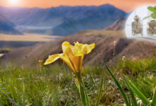 Die Naturkraft des Altai für die Gesundheit. Nahrungsergänzungen von EVALAR inklusive Mumijo ab sofort PROnatur24 Shop! 11 Die Naturkraft des Altai für die Gesundheit. Nahrungsergänzungen von EVALAR inklusive Mumijo ab sofort PROnatur24 Shop!